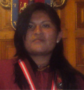 nueva licenciatura.jpg