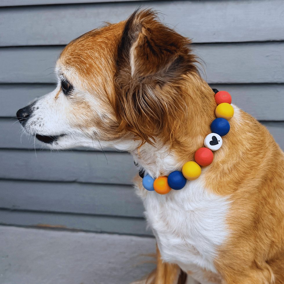 Thumbnail: Silicone Bead Dog Collar (SMALL)