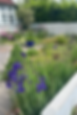 IMG_6614_edited.png