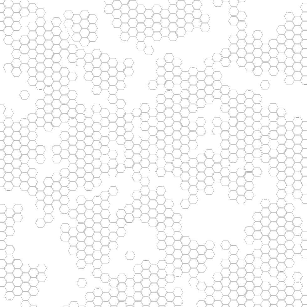 Bee Hive Transparent_edited.png