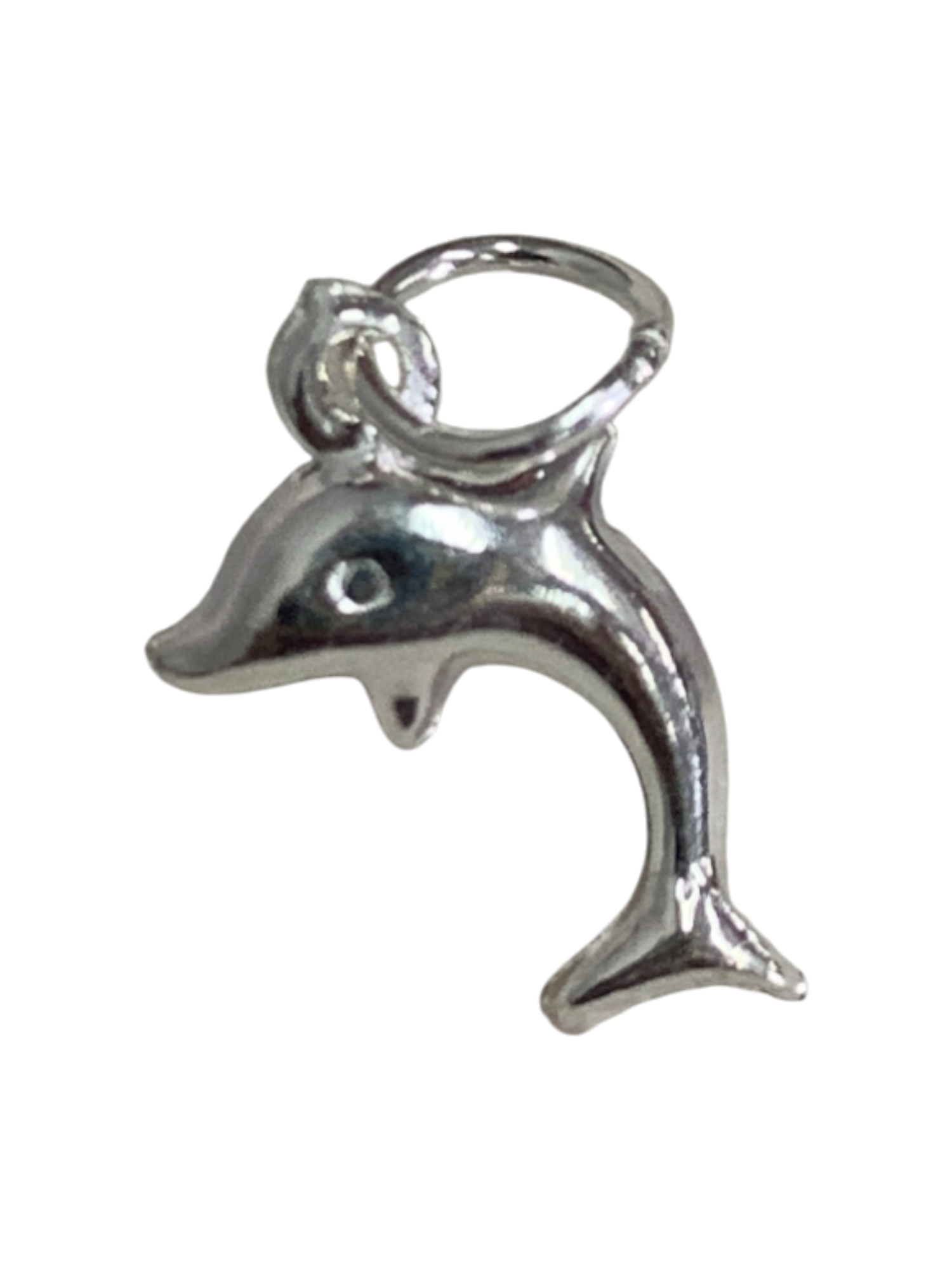 Dolphin Charm