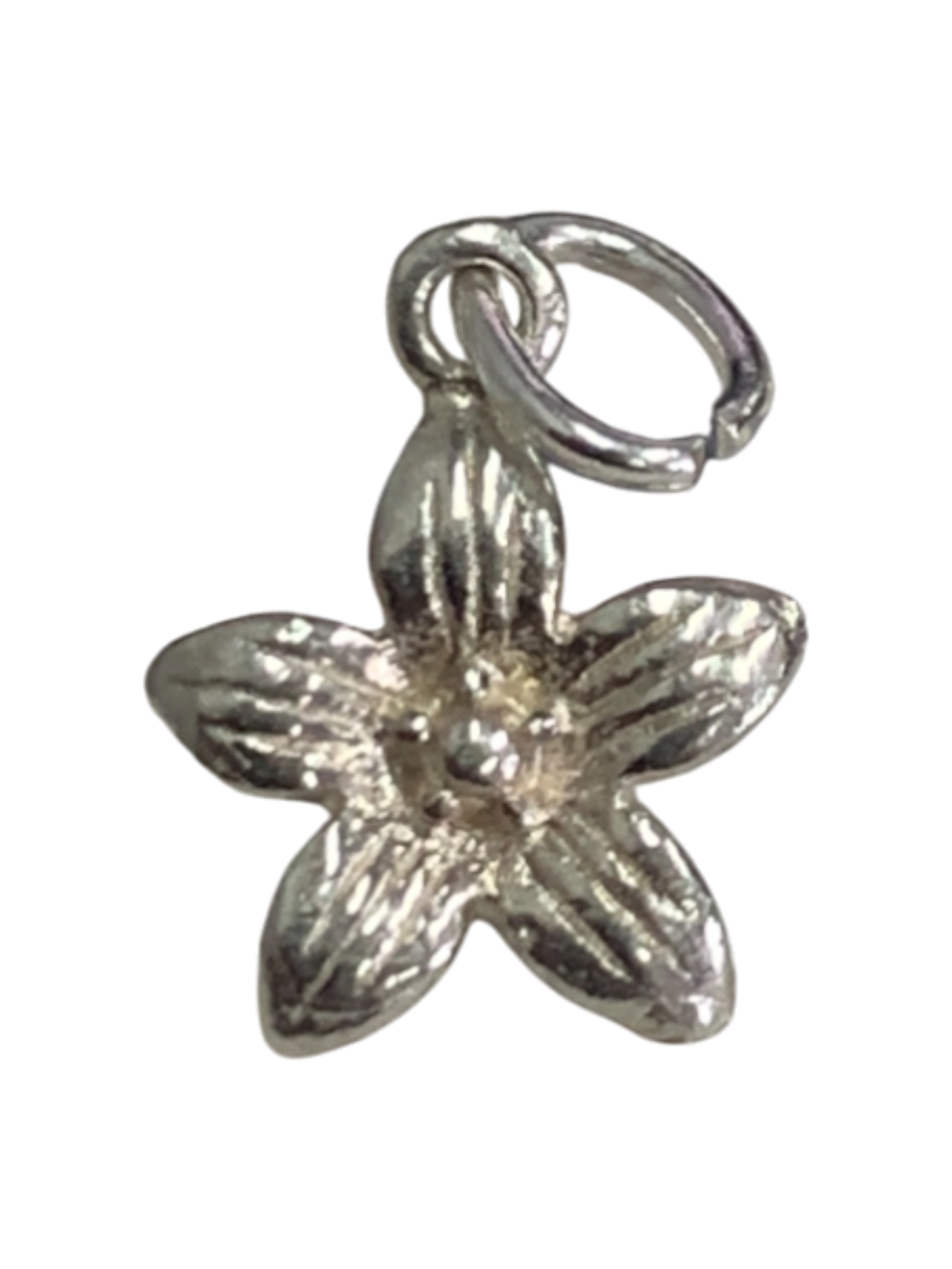 Delicate Natural Flower Charm