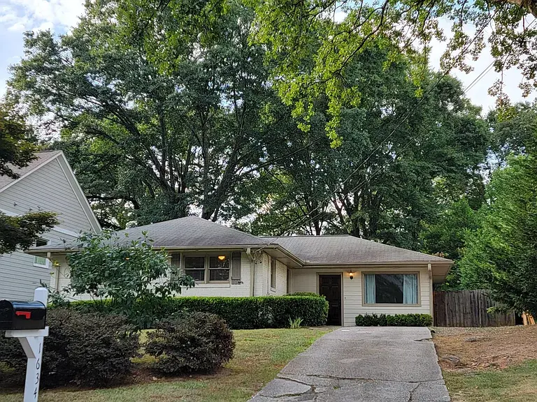 Newsletter #1 - New Rentals in November