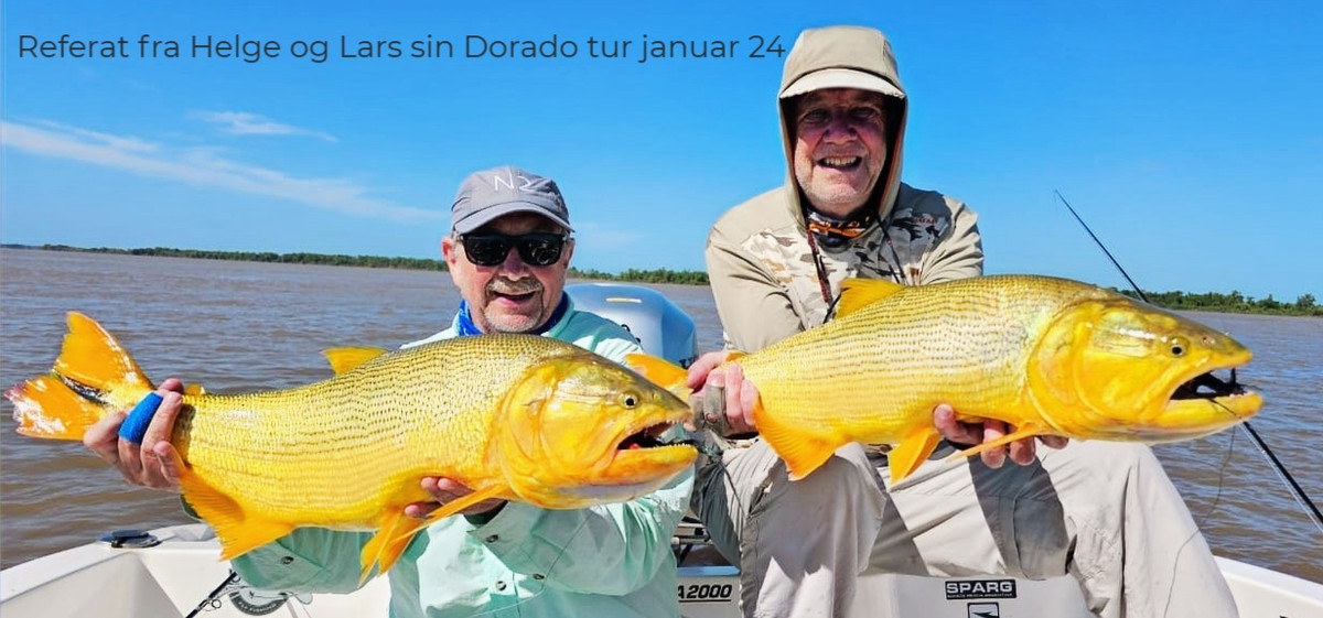Argentina Dorado referat 2024