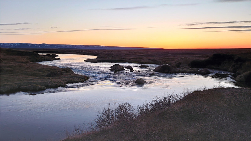 Iceland report 2022. Trout.
