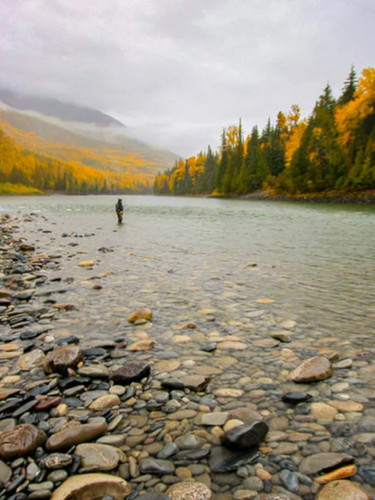 Canada Steelhead 2024