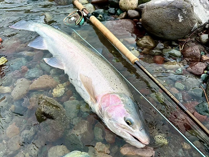 BC Steelhead – Nass Base Camp – bilde 2