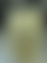 六合一小超人:元山多功能移動式冷氣