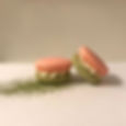 Matcha & Rose