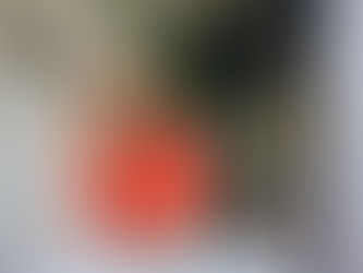 ๐ช๐ฎ๐ ๐ฎ๐น๐ ๐ฑ๐ฒ ๐๐ผ๐ฒ๐ธ๐ผ๐บ๐๐ ๐ด๐ฒ๐ฒ๐ป ๐๐๐ฎ๐ฟ๐๐ฒ๐ฟ๐ ๐บ๐ฒ๐ฒ๐ฟ ๐ป๐ผ๐ฑ๐ถ๐ด ๐ต๐ฒ๐ฒ๐ณ๐?