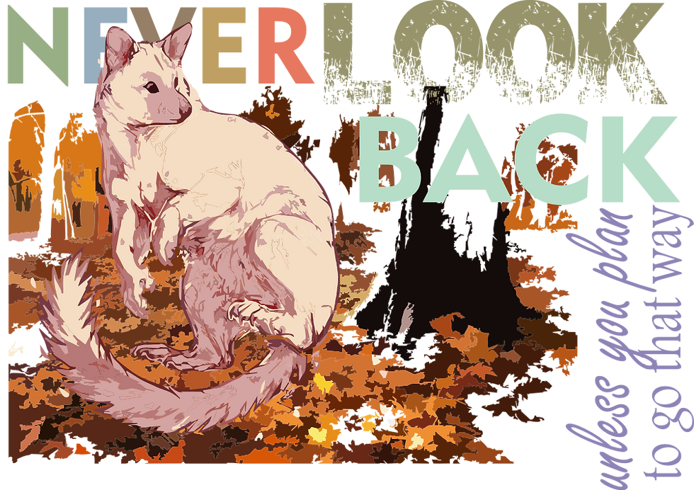 never look back