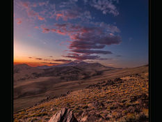 CIPPA August 2024 Image Competition ~ Best of Show!