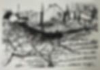 Lynne Friedman - 'Les Oliviers-Moulin', Brush and ink on Arches, 26x18 in.