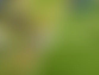 Why Artificial Grass is the Smart Choice for the UK Garden