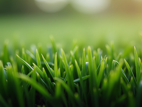 Artificial Turf Pricing Guide: Understanding the Cost of Artificial Turf Per Square Foot