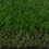 Thumbnail: ⭐ Woodlands 38mm: Our Best Selling Artificial Grass: Loved by the trade.