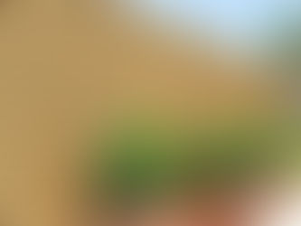 Feather-Edge vs American Lap vs Venetian Fencing: Which Is Best for Your Garden?