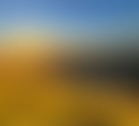 3/1 Hollywood Sign via Griffith Observatory w/ Catharina E. Santasilia, Ph.D.