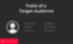 traits of a target audience persona