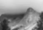 76.webp