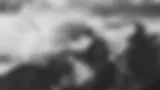 17.webp