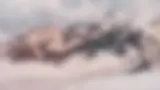 25.webp