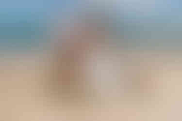 Sunset joy at Kukiʻo Beach — a Big Island elopement with Kona Wedding Officiant® magic.