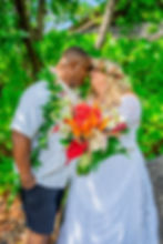Thumbnail: Tropical Bouquet - Brights Variety