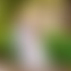 Bride and groom, Deena and Brian, posing against steep cliffs at Kehena Black Sand Beach for their elopement photography with Kona Wedding Officiant.