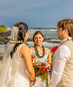 Deanna DiMichele Wedding Officiant Big Island Hawaii(21of80).jpg