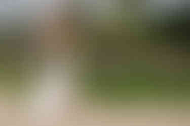 Sunset joy at Kukiʻo Beach — a Big Island elopement with Kona Wedding Officiant® magic.