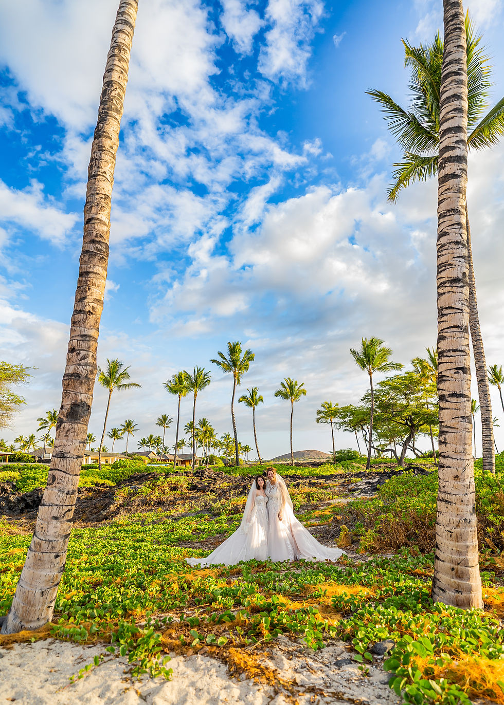 Kona Wedding Officiant Hawaii Beach Weddings Big Island.jpg