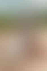 Sunset joy at Kukiʻo Beach — a Big Island elopement with Kona Wedding Officiant® magic.