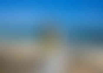 Weddings At Kuki`o Beach Big Island Hawaii Wedding Packages