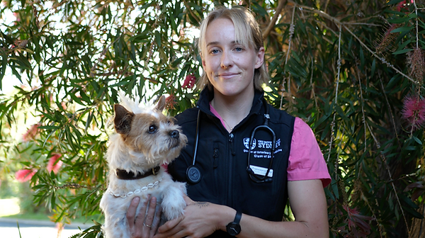 Dr. Francesca May, veterinarian specilising in home euthanasia and owner of of Rest Easy Pet