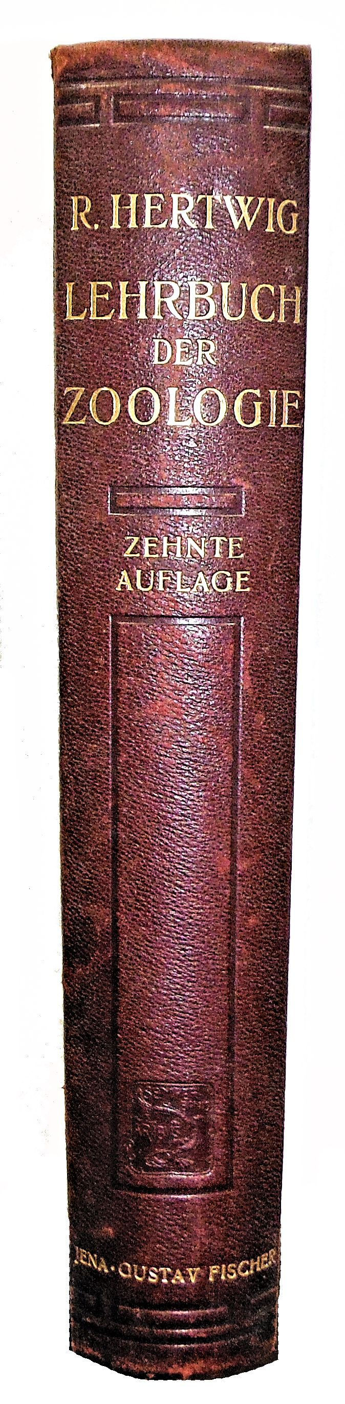 Thumbnail: Lehrbuch Der Zoologie by Hertwig 1912 (German) Zoology