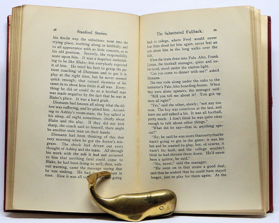 Thumbnail: STANFORD STORIES TALES OF A YOUNG UNIVERSITY CHARLES K. FIELD AND WILL H. IRWIN