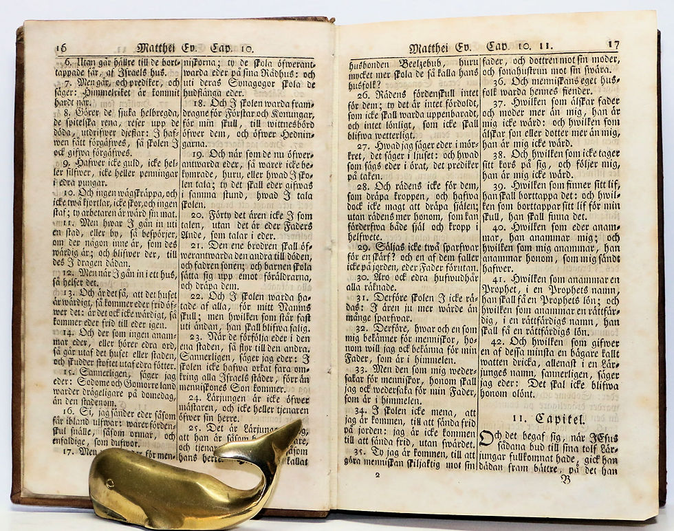Thumbnail: Rna Testamentet (Swedish New Testament) 1841