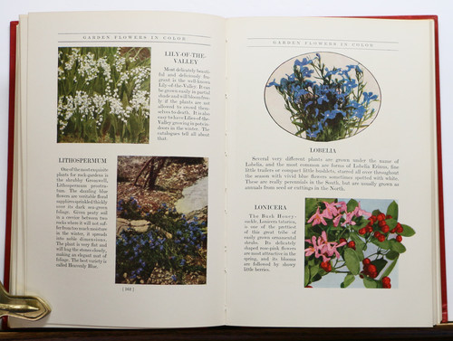 GARDEN FLOWERS IN COLOR A Picture Cyclopedia of Flowers by G. A.