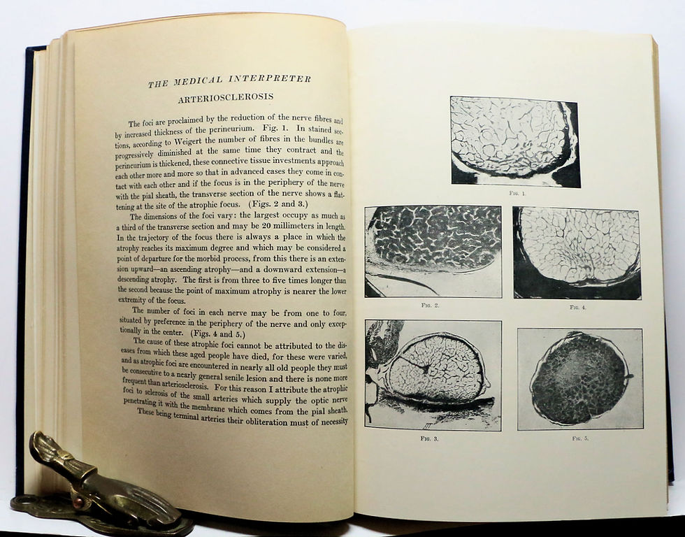 Thumbnail: THE MEDICAL INTERPRETER A QUARTERLY DIGEST OF Medicine and Surgery 1927
