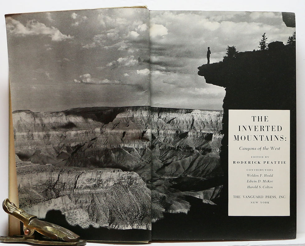 Thumbnail: THE INVERTED MOUNTAINS: Canyons of the West