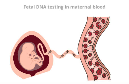 Beyond the Needle: From Invasive Risks to the New Standard in Prenatal Care