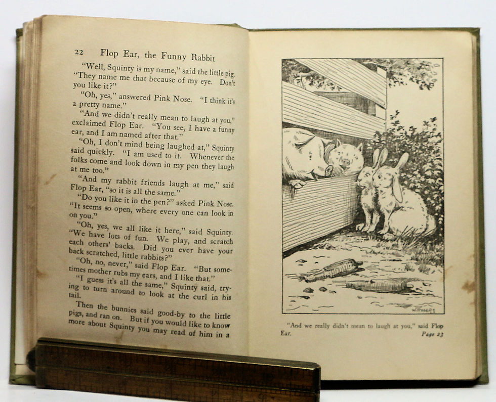 Thumbnail: FLOP EAR, The FUNNY RABBIT (#8) by Richard Barnum 1916
