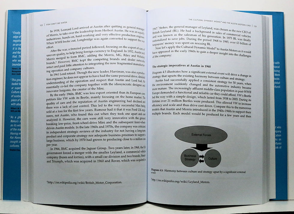 Thumbnail: Fish Can't See Water (Corporate Strategy) by Kai Hammerich (w/Jacket!) 2013