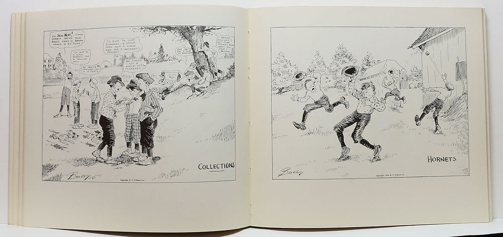 Thumbnail: The Selected Drawings of CLARE BRIGGS (Memorial Edition) 1930 comic strip artist