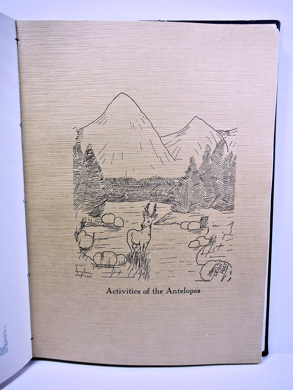 Thumbnail: BLUE & GOLD (Vol. II) State Teachers College, Nebraska 1926