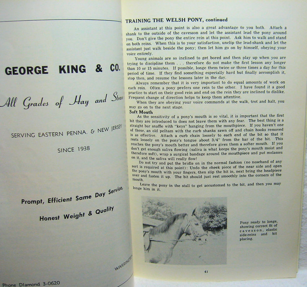 Thumbnail: Sixth Annual NATIONAL WELSH YEARBOOK 1966
