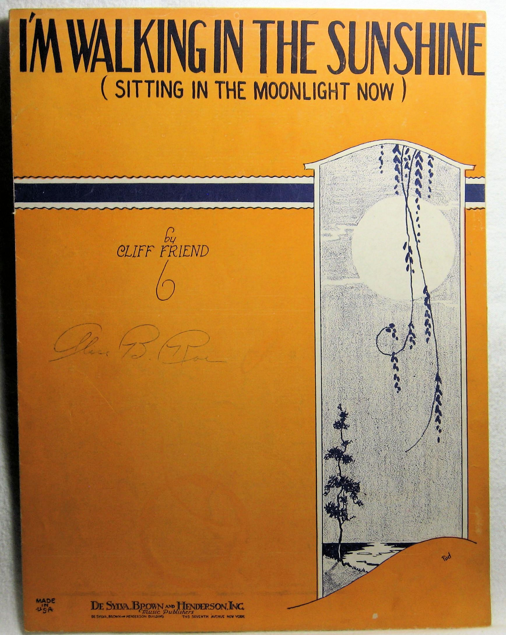 I'M WALKING IN THE SUNSHINE 1929