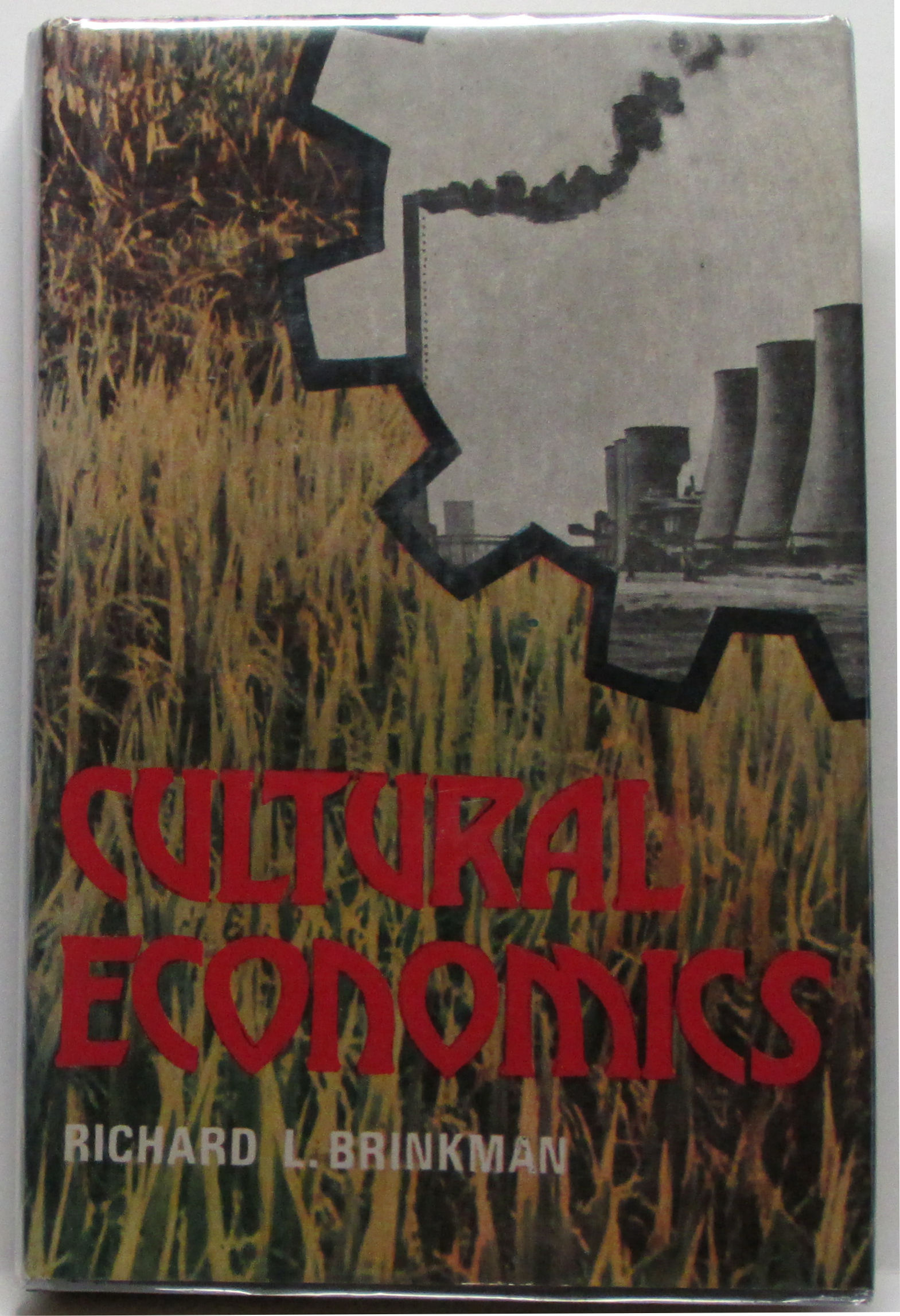CULTURAL ECONOMICS by Richard L. Brinkman 1981 (w/jacket!)