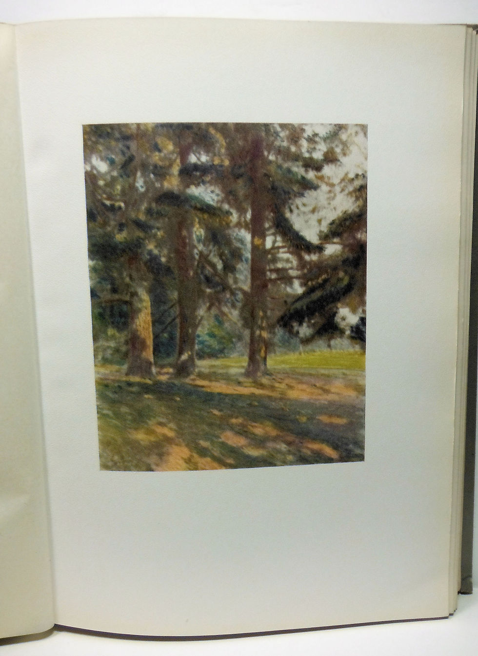 Thumbnail: THE 1926 BEAVER (yearbook) Oregon